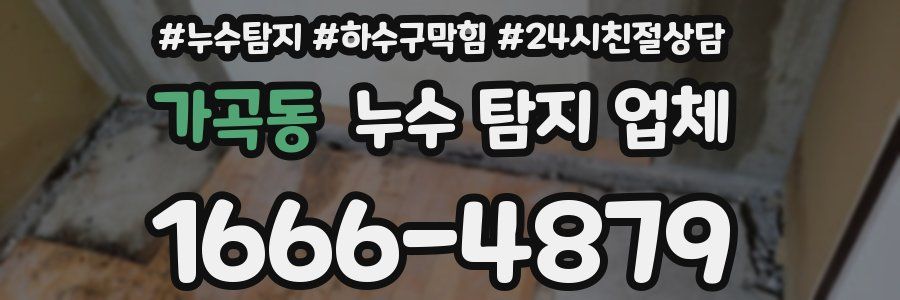 가곡동 누수 탐지 업체
