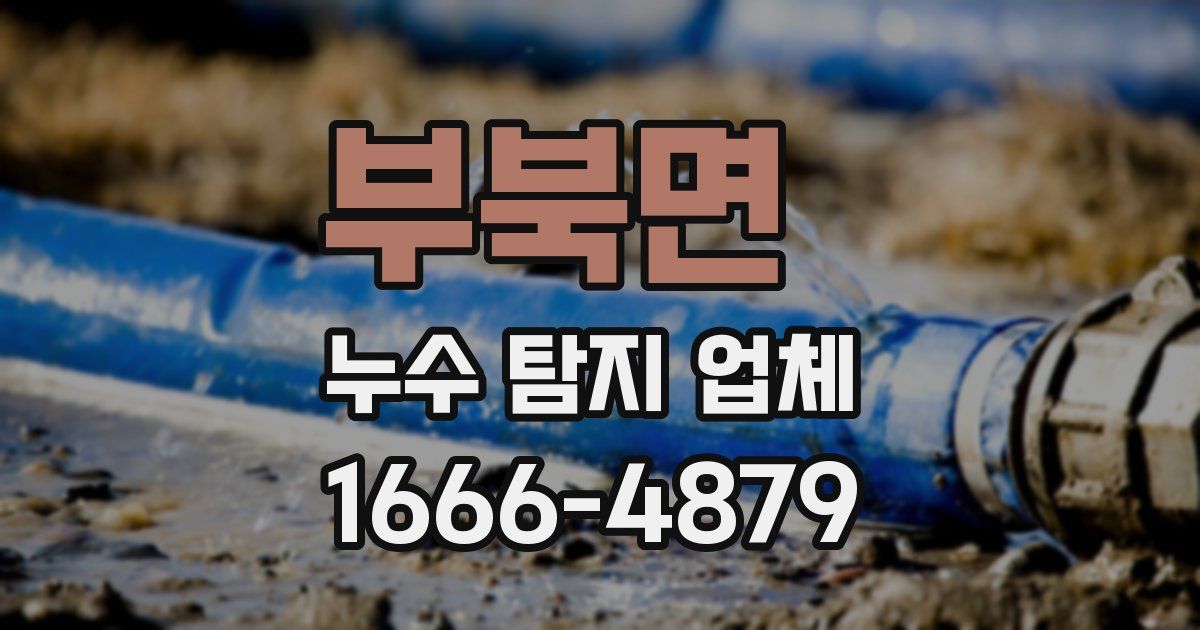부북면 누수 탐지 업체