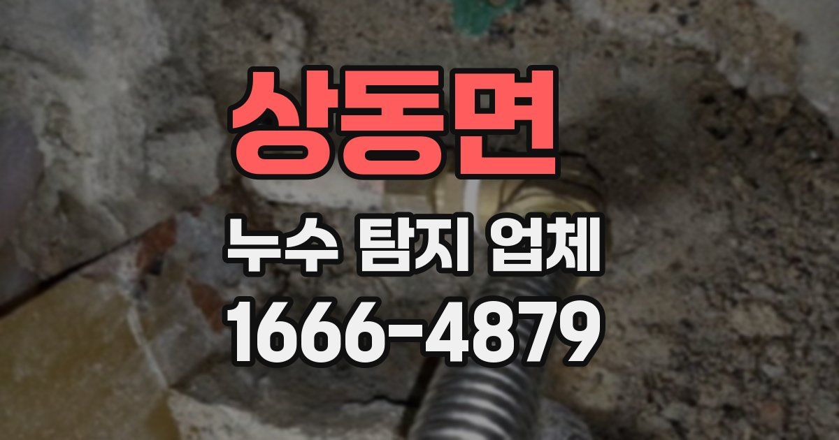 상동면 누수 탐지 업체