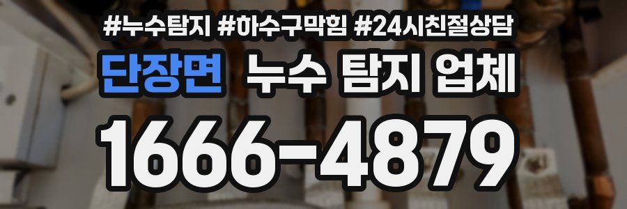 단장면 누수 탐지 업체