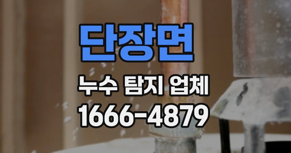 단장면 누수 탐지 업체