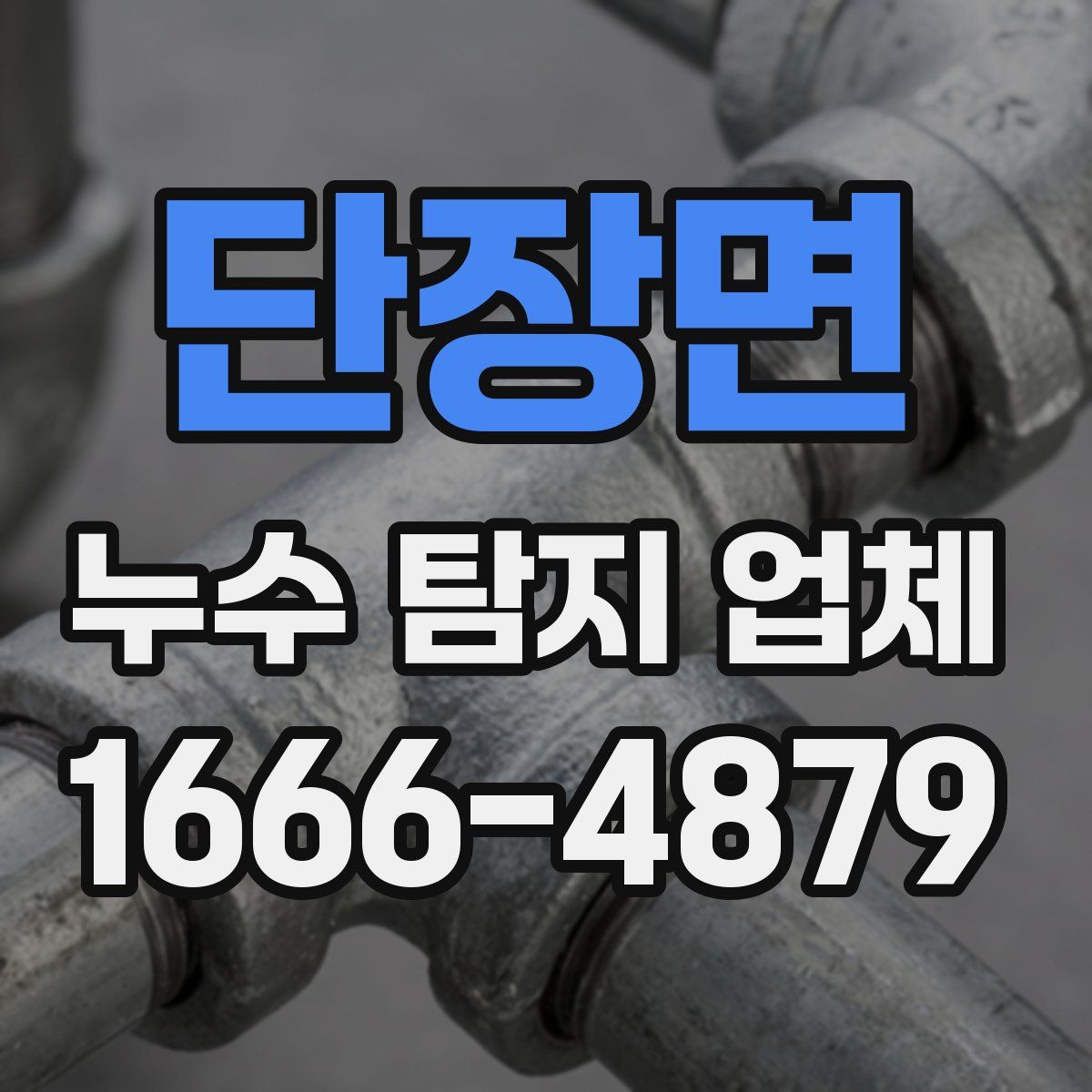 단장면 누수 탐지 업체