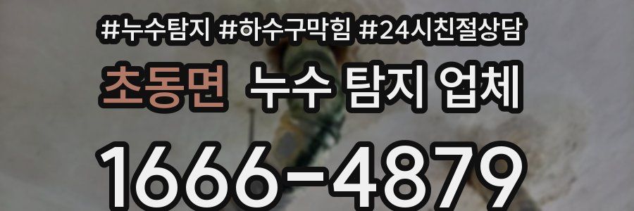 초동면 누수 탐지 업체