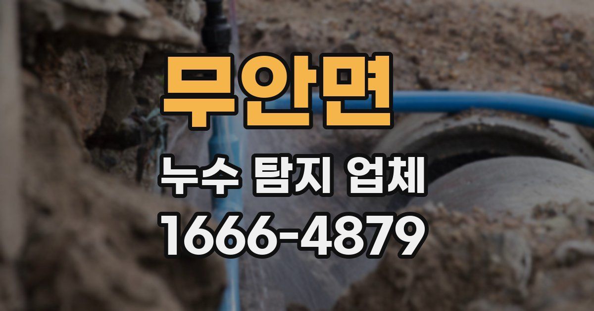 무안면 누수 탐지 업체