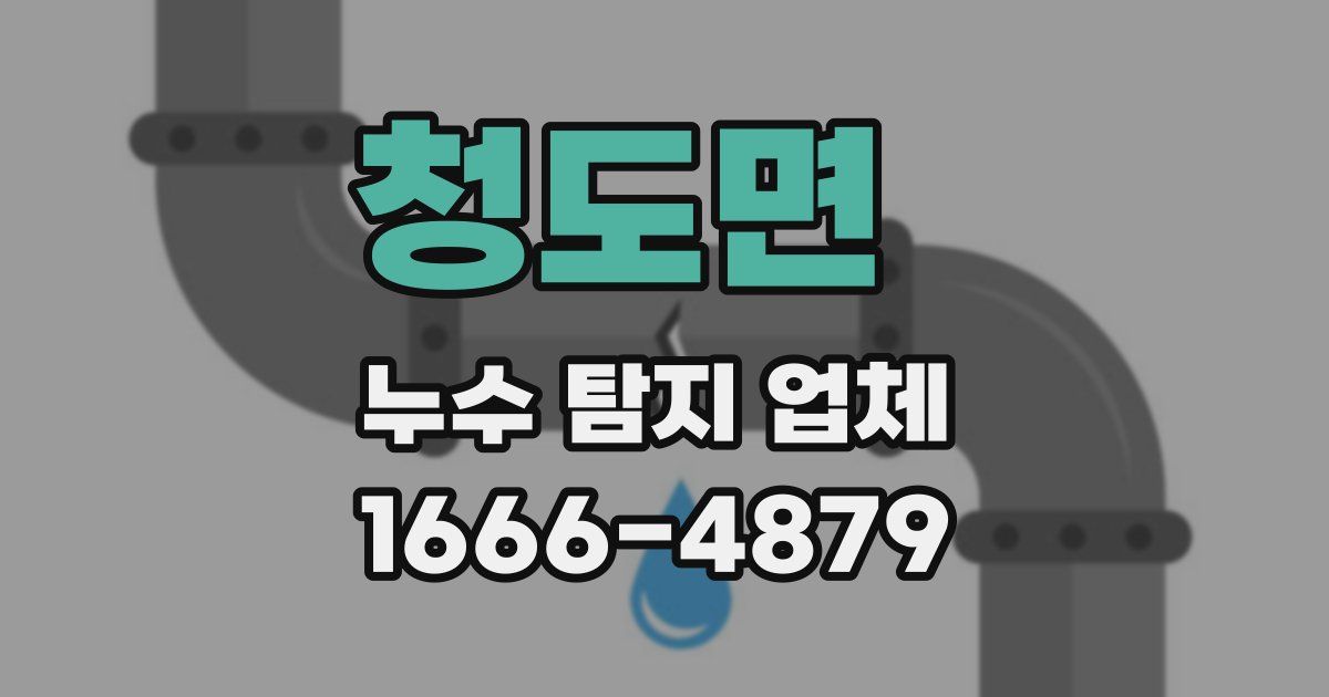 청도면 누수 탐지 업체