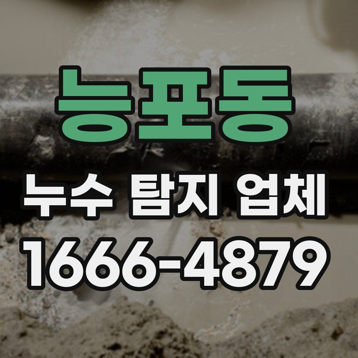능포동 누수 탐지 업체