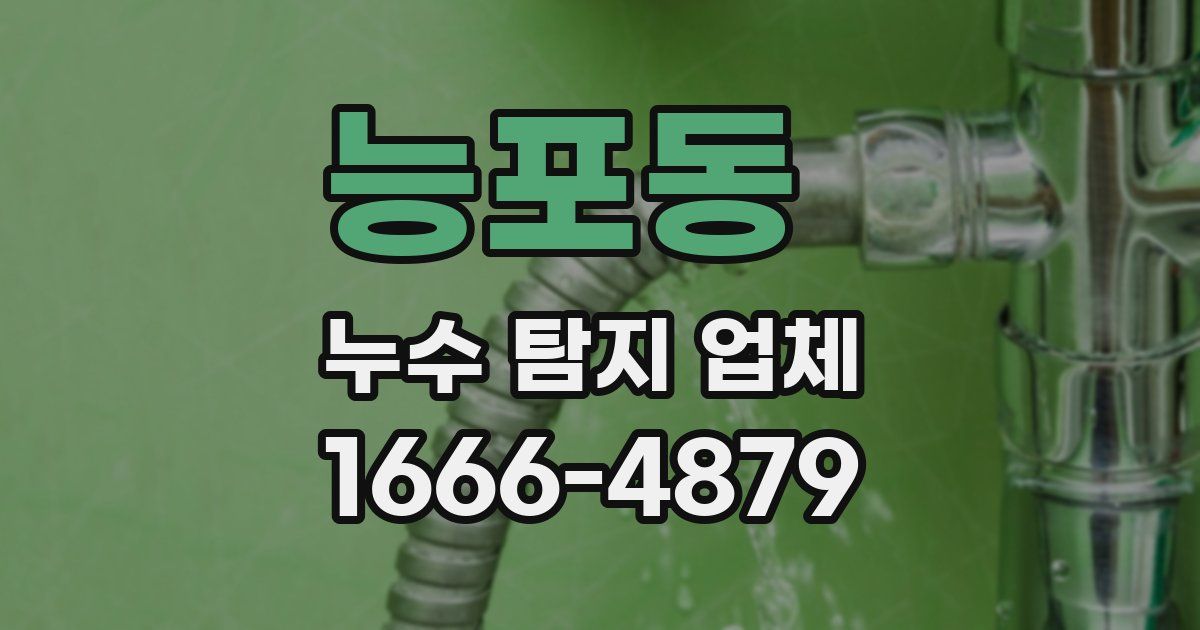 능포동 누수 탐지 업체