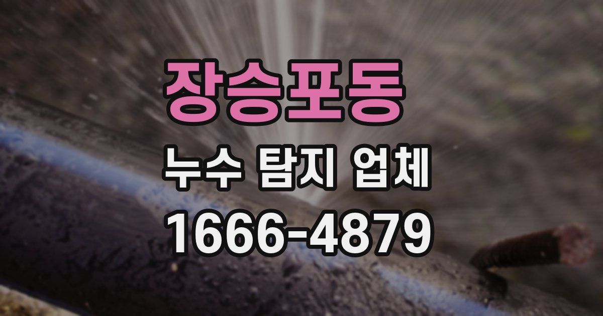 장승포동 누수 탐지 업체