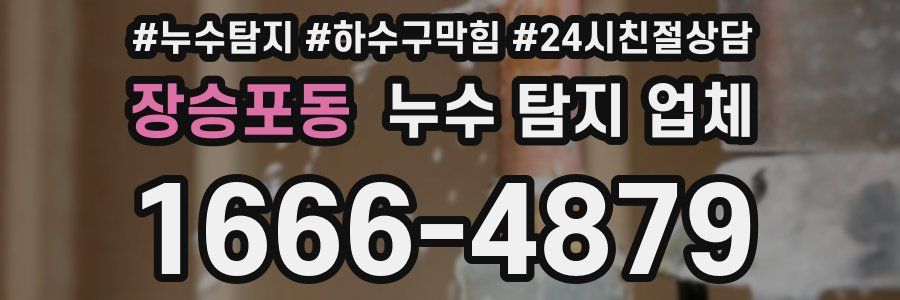 장승포동 누수 탐지 업체