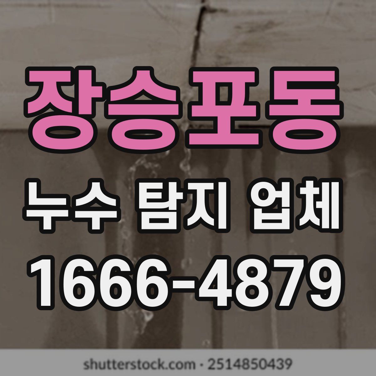 장승포동 누수 탐지 업체