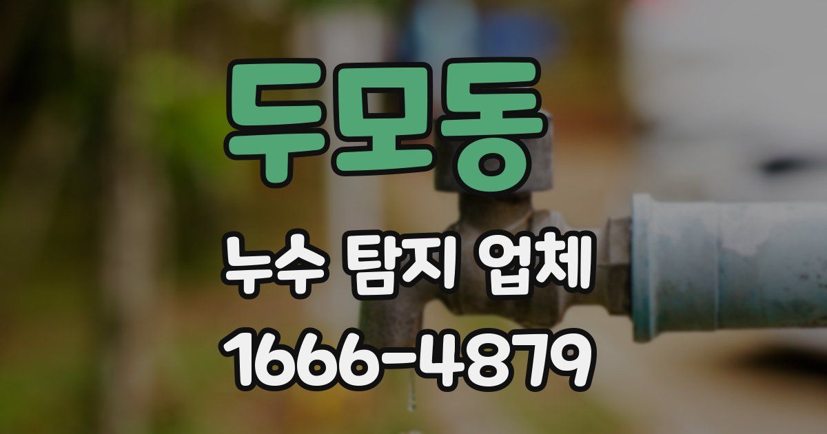 두모동 누수 탐지 업체