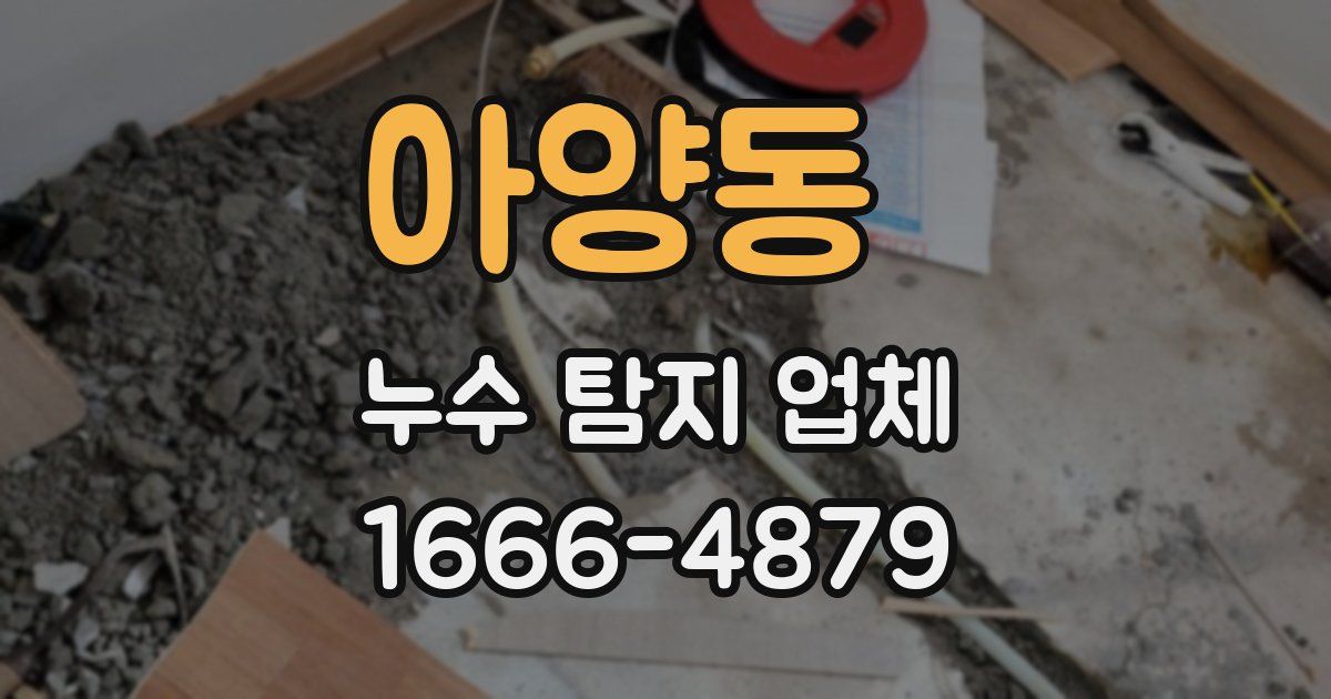 아양동 누수 탐지 업체