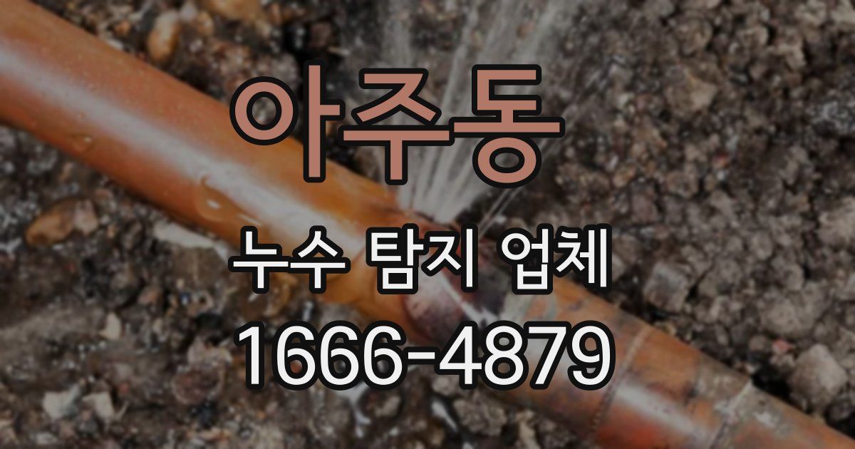 아주동 누수 탐지 업체
