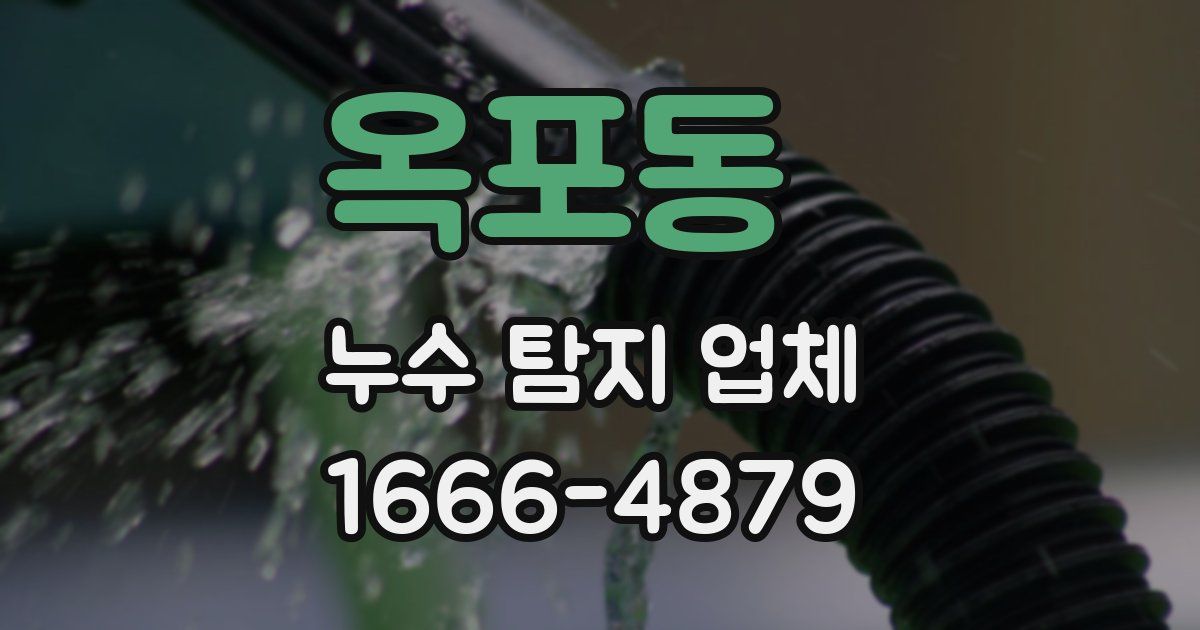 옥포동 누수 탐지 업체