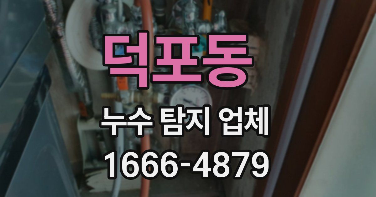 덕포동 누수 탐지 업체