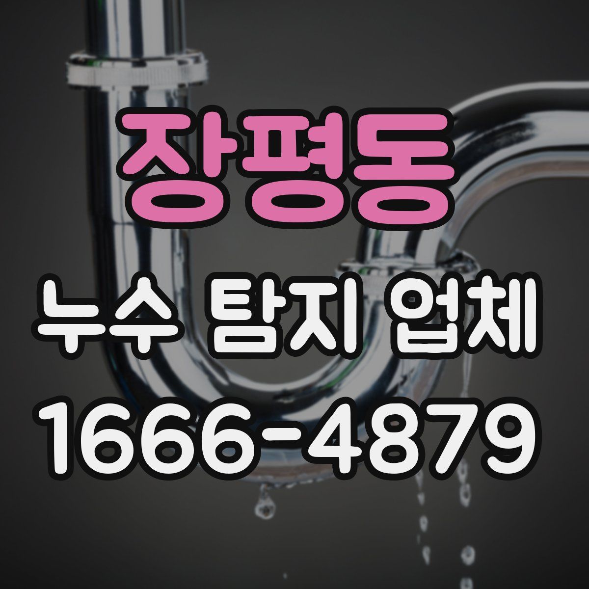 장평동 누수 탐지 업체