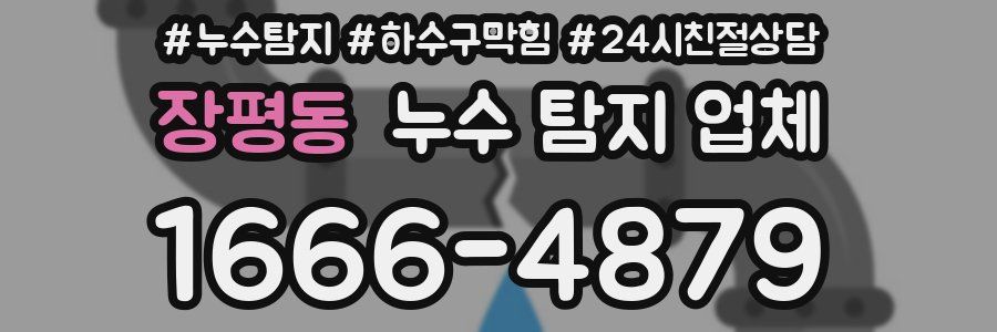 장평동 누수 탐지 업체