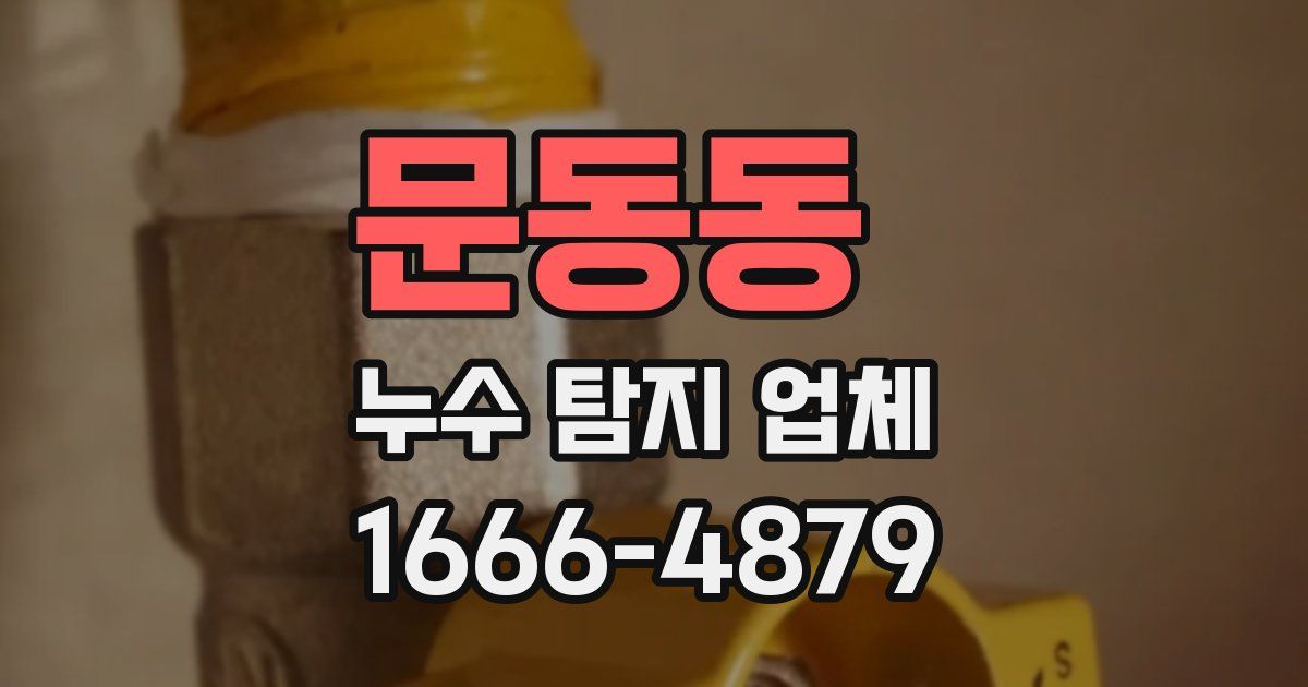 문동동 누수 탐지 업체