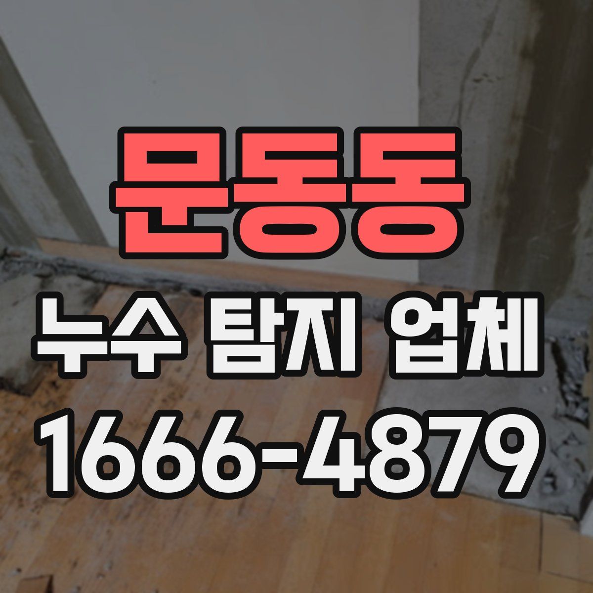 문동동 누수 탐지 업체