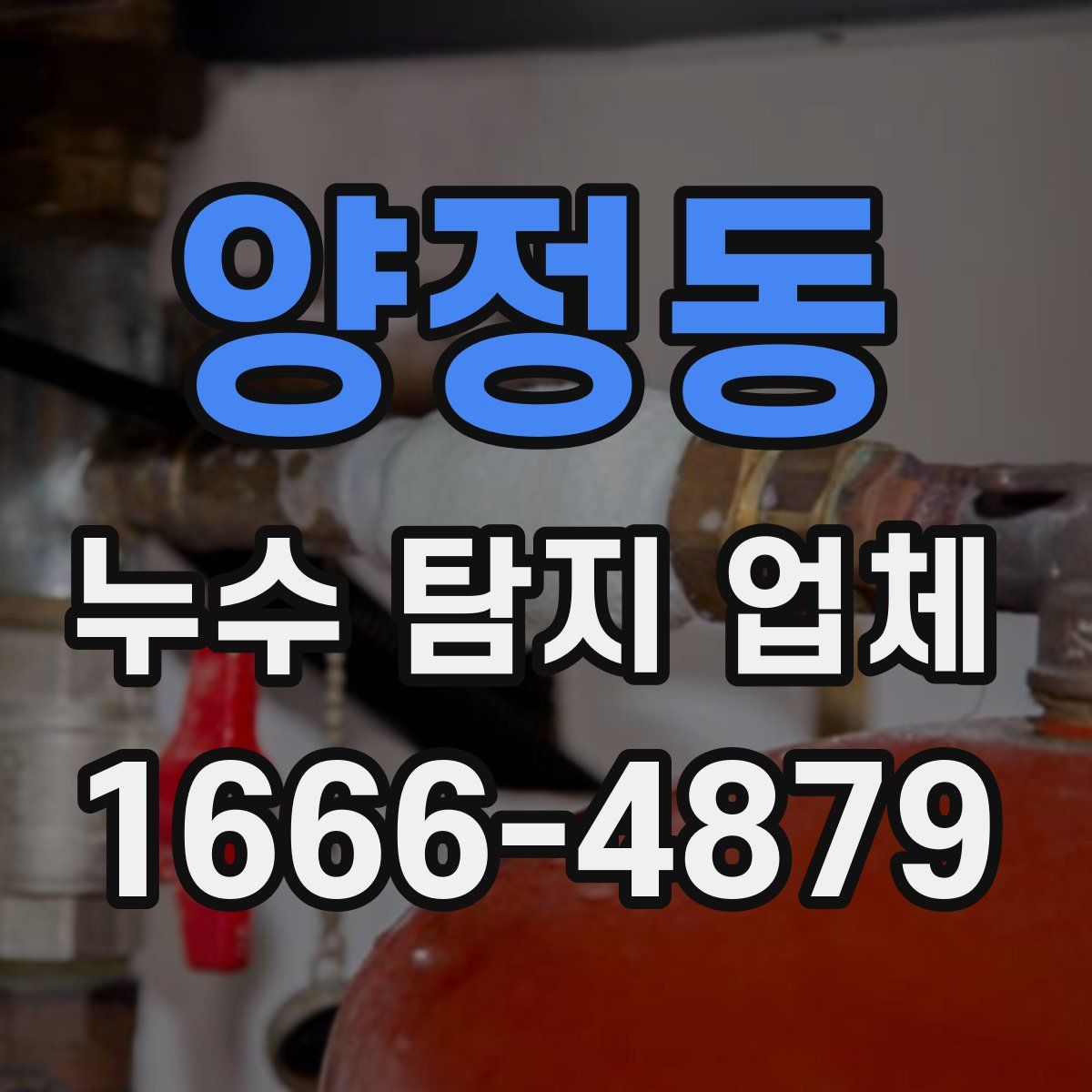 양정동 누수 탐지 업체