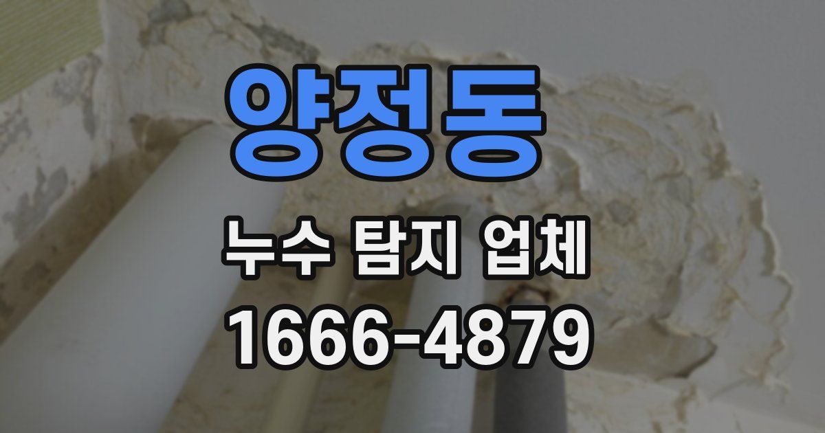 양정동 누수 탐지 업체