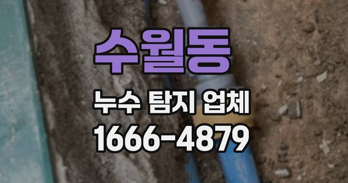 수월동 누수 탐지 업체
