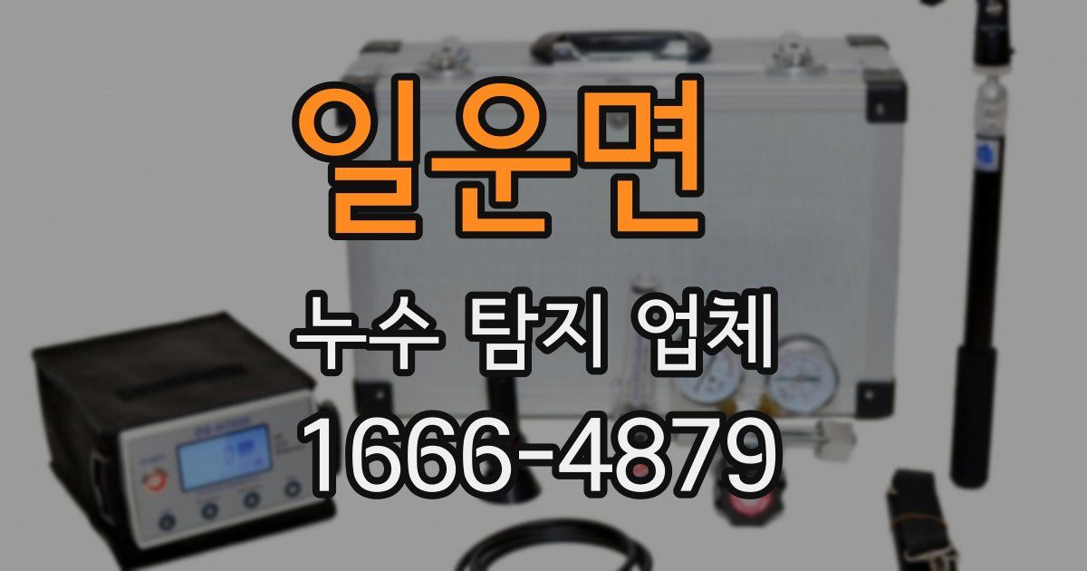 일운면 누수 탐지 업체
