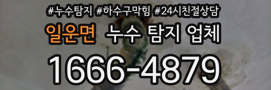 일운면 누수 탐지 업체