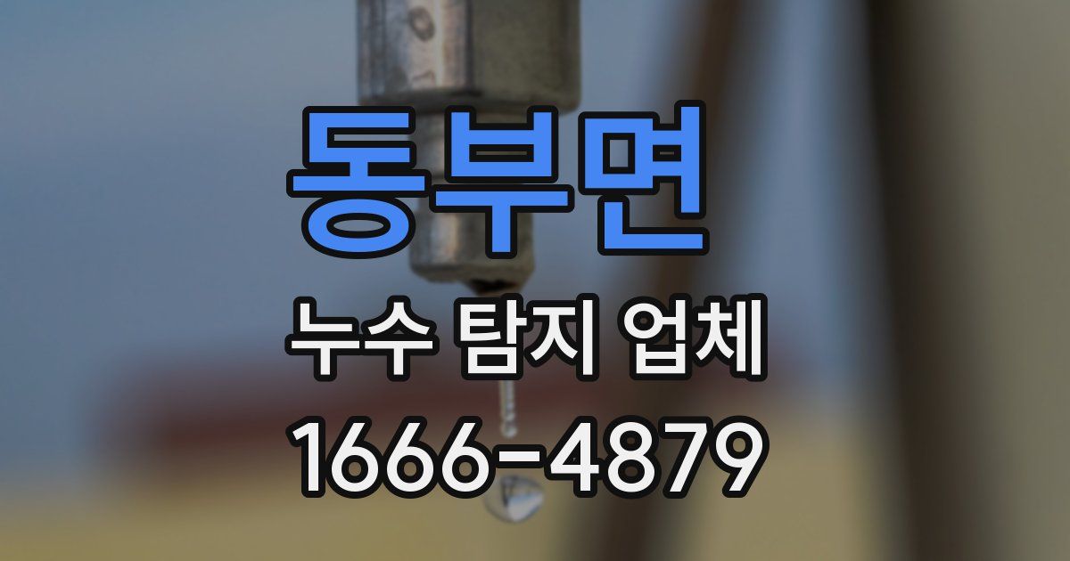 동부면 누수 탐지 업체
