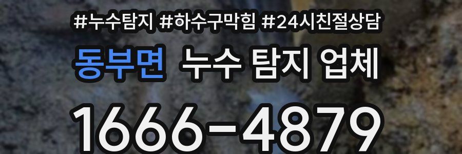 동부면 누수 탐지 업체