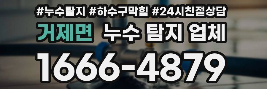 거제면 누수 탐지 업체
