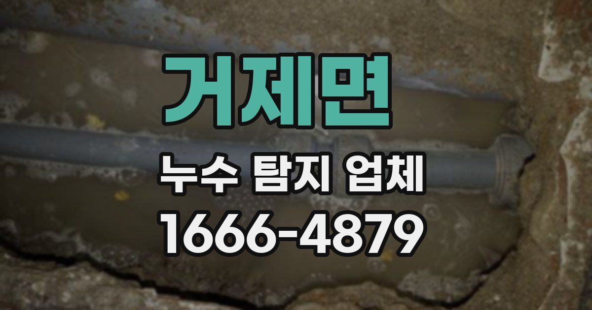 거제면 누수 탐지 업체