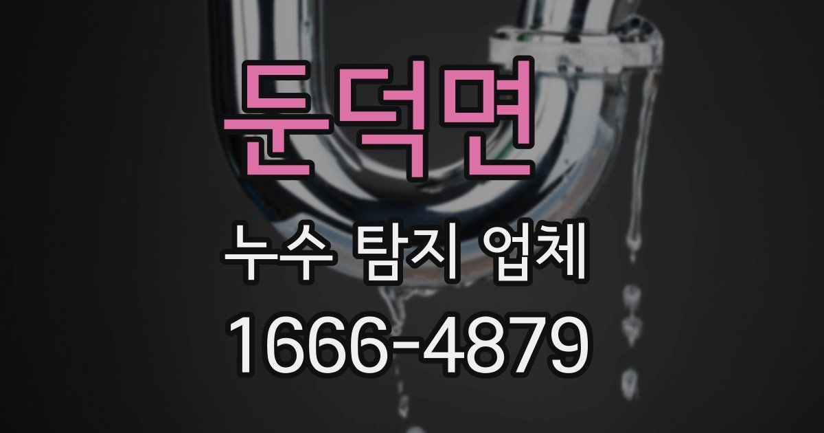 둔덕면 누수 탐지 업체