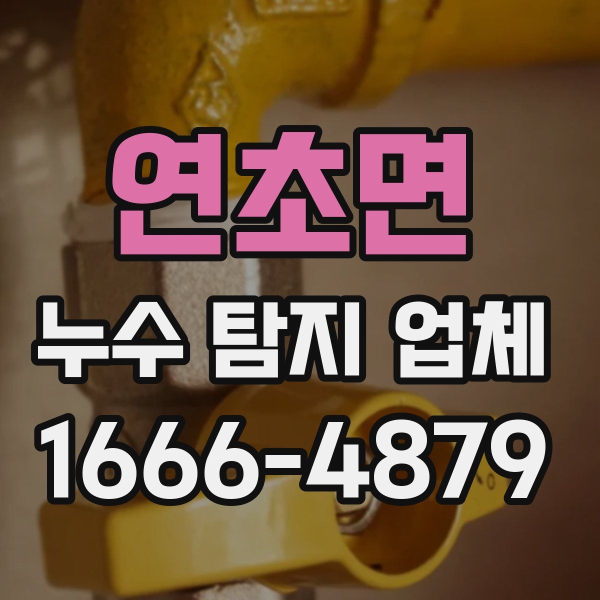 연초면 누수 탐지 업체