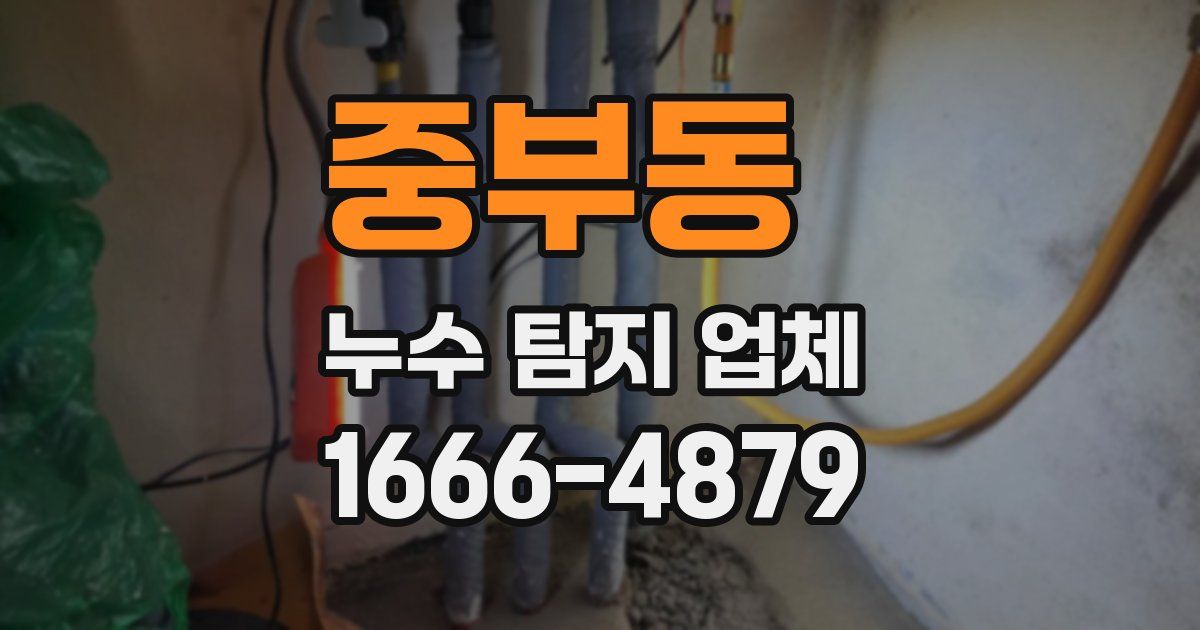 중부동 누수 탐지 업체