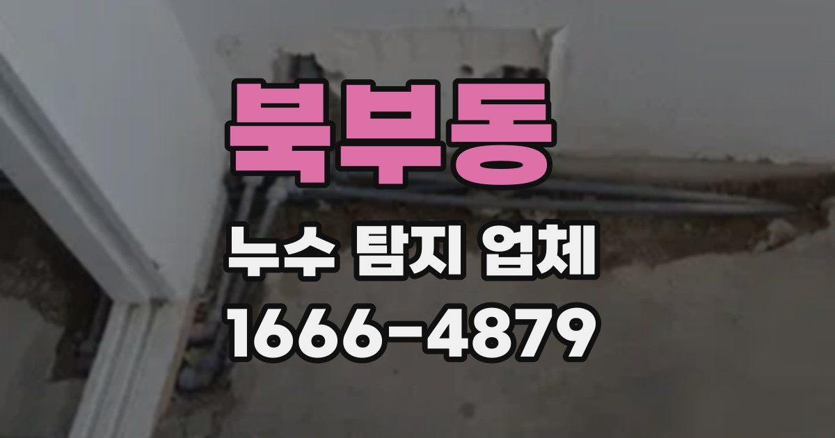 북부동 누수 탐지 업체