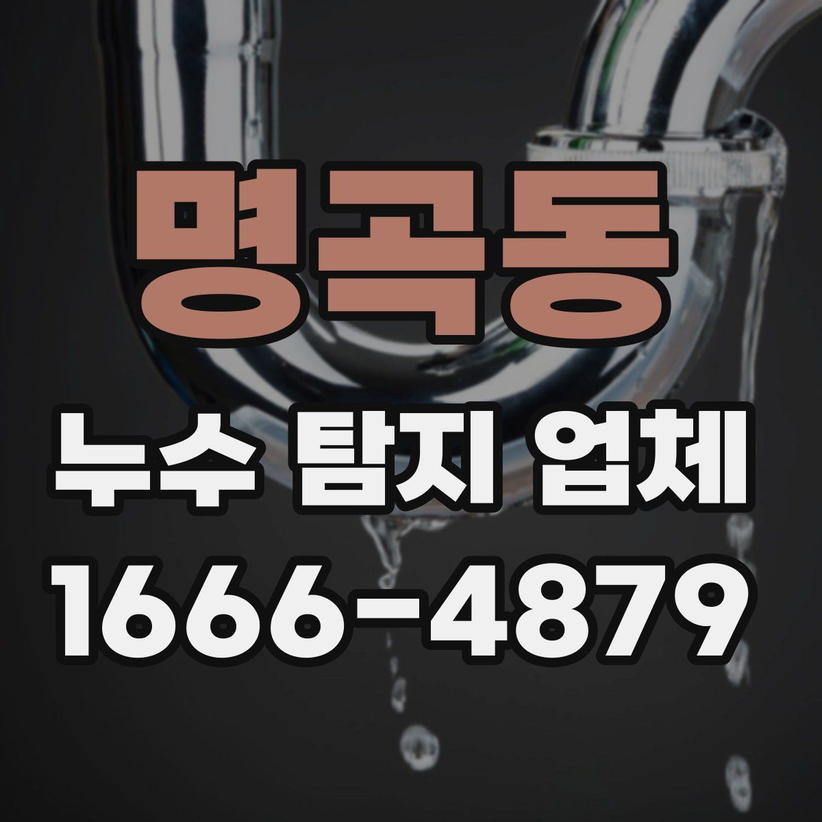 명곡동 누수 탐지 업체