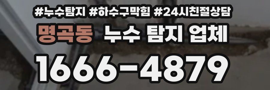명곡동 누수 탐지 업체