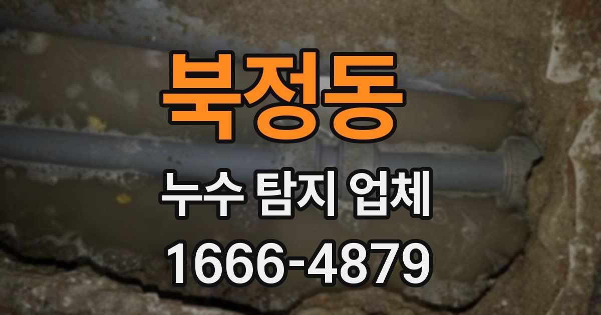 북정동 누수 탐지 업체