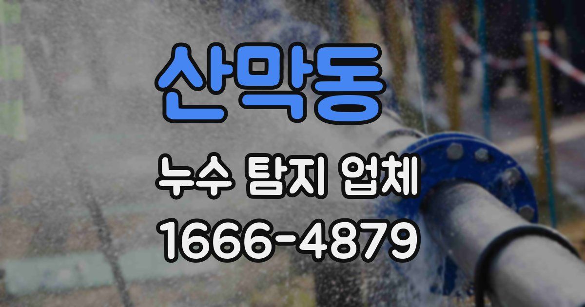 산막동 누수 탐지 업체