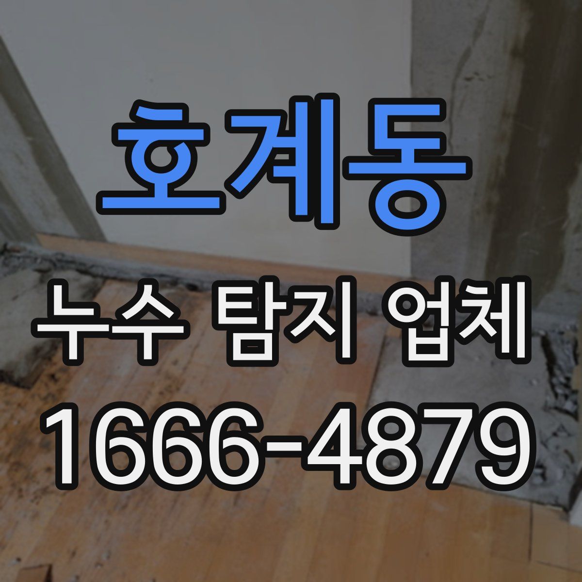 호계동 누수 탐지 업체