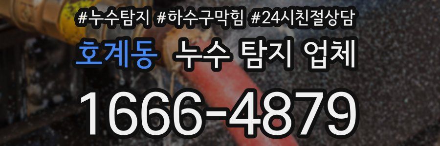 호계동 누수 탐지 업체