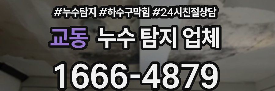 교동 누수 탐지 업체