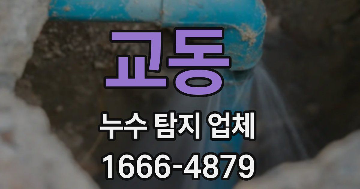 교동 누수 탐지 업체