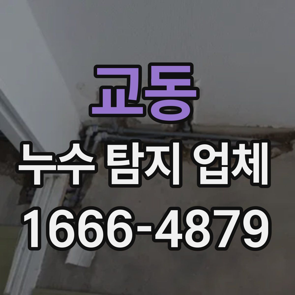 교동 누수 탐지 업체