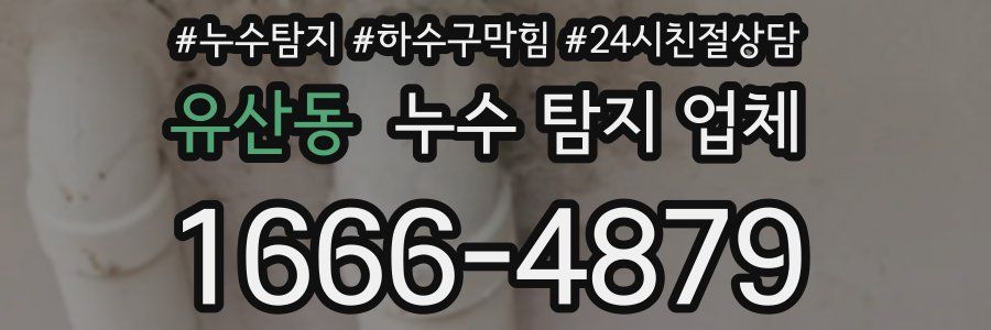유산동 누수 탐지 업체