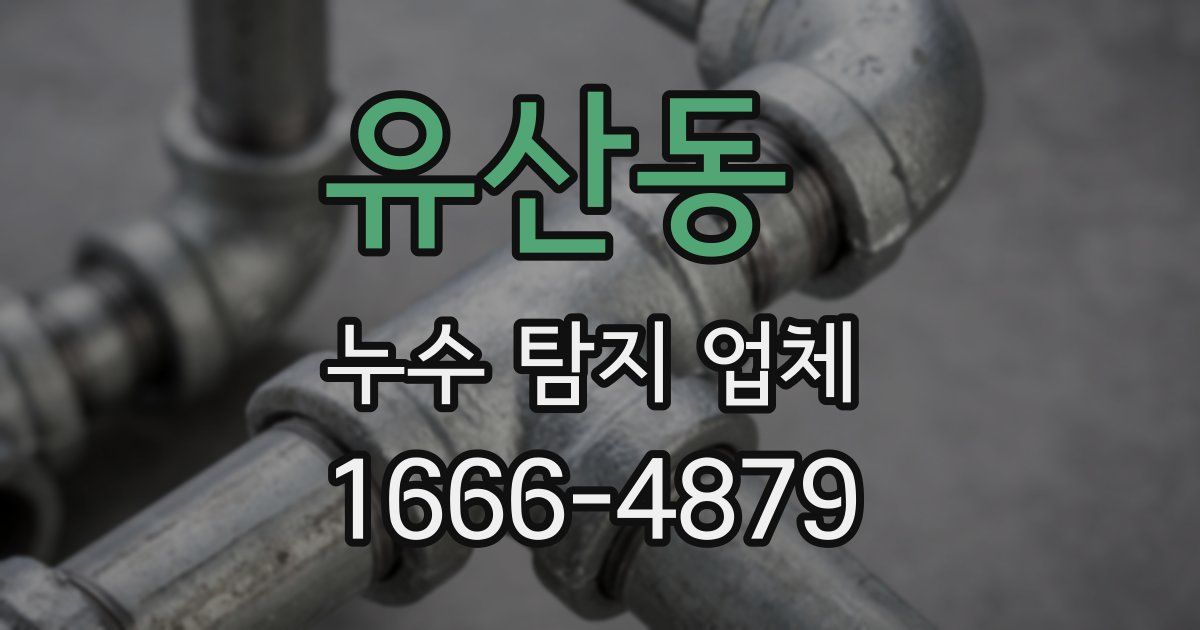유산동 누수 탐지 업체