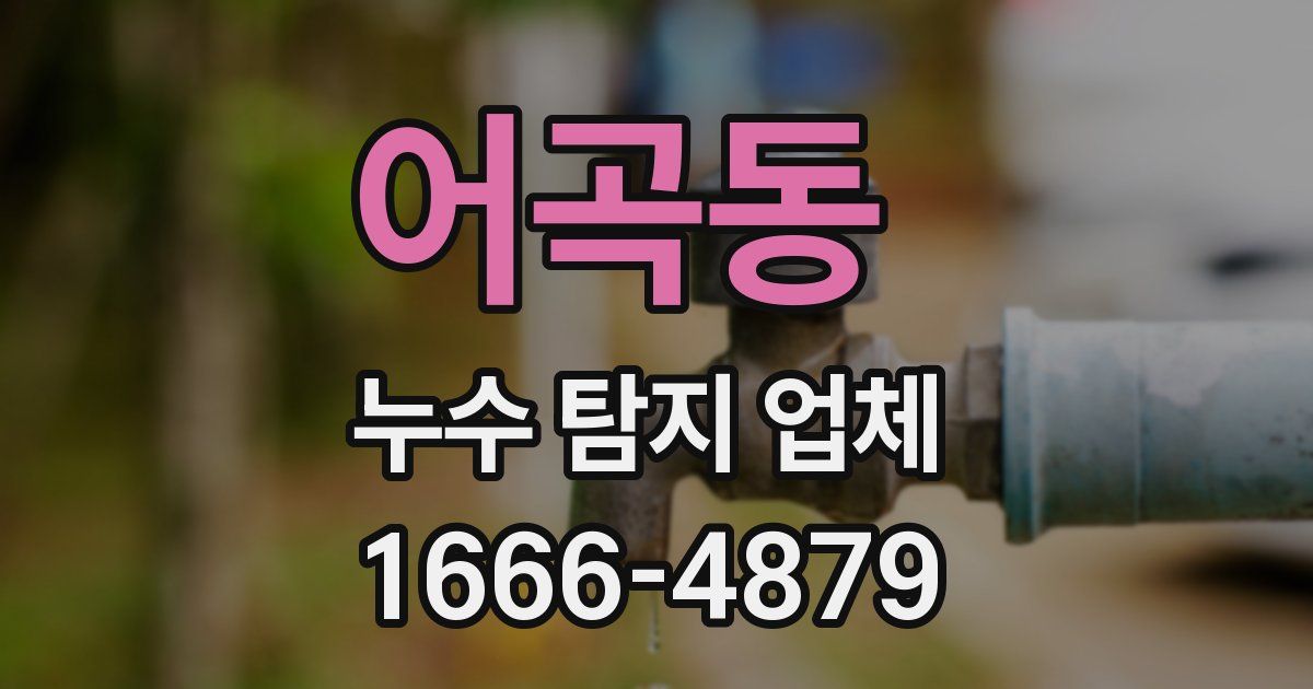 어곡동 누수 탐지 업체