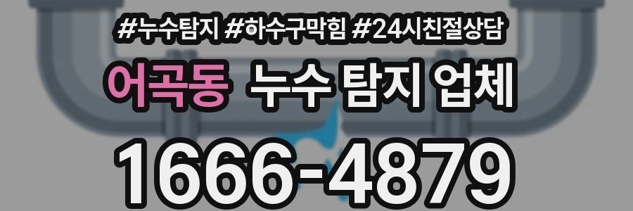 어곡동 누수 탐지 업체