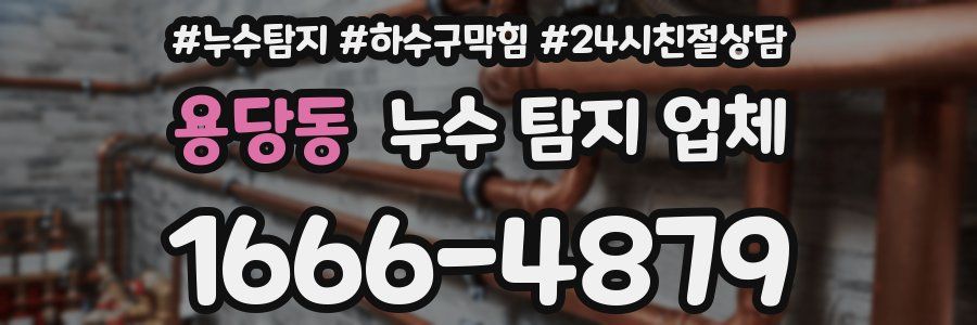 용당동 누수 탐지 업체